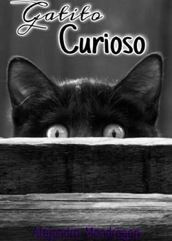Gatito Curioso
